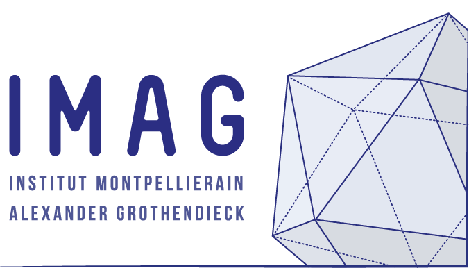 IMAG logo